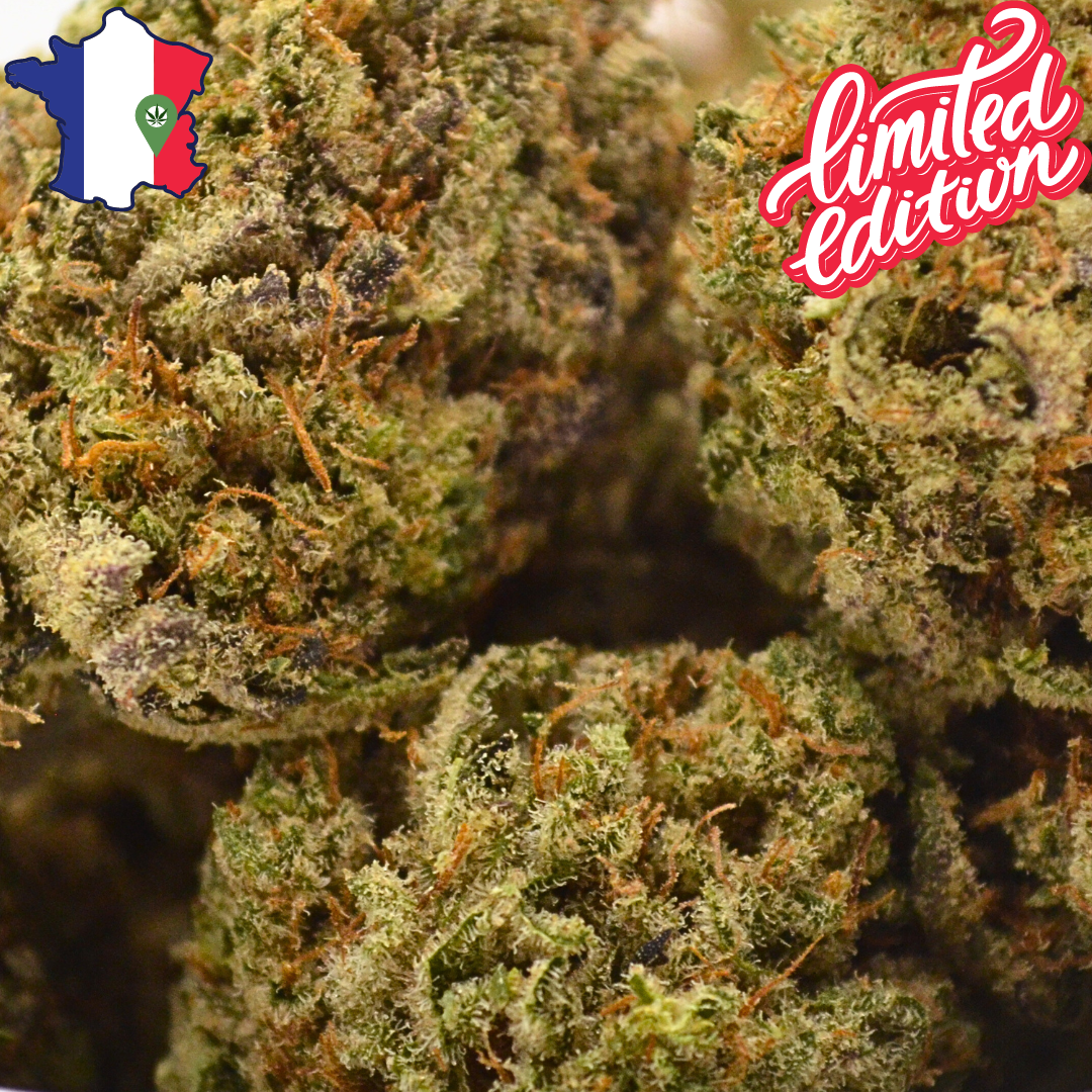 Fleur CBD <br> La RAINBOW GAZ - édition limitée - DispenseHerbe 🍀