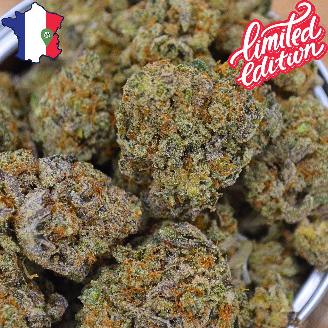 Fleur CBD <br> La RAINBOW GAZ - édition limitée - DispenseHerbe 🍀
