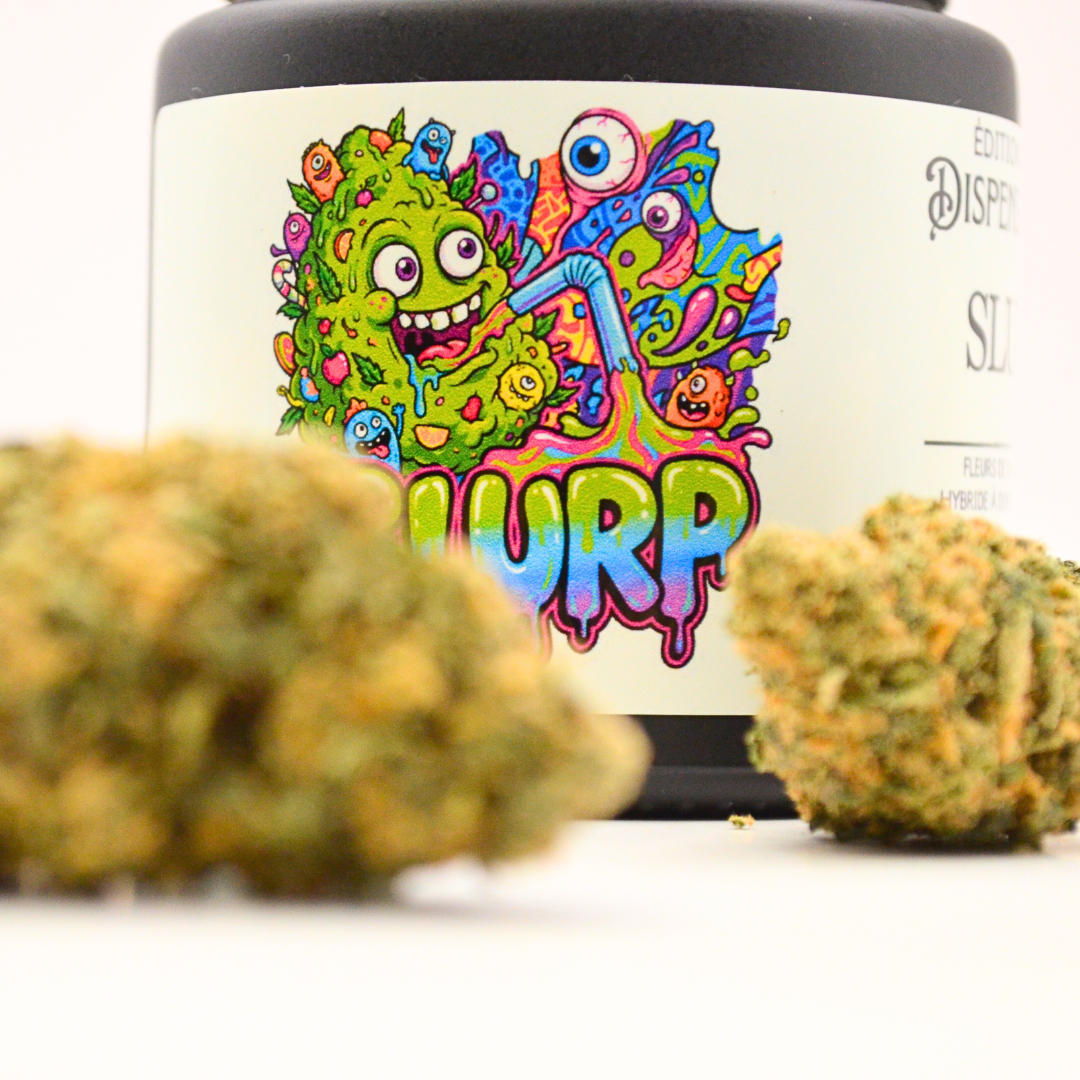 SLURP | Fleur CBD Indoor Française 🔥