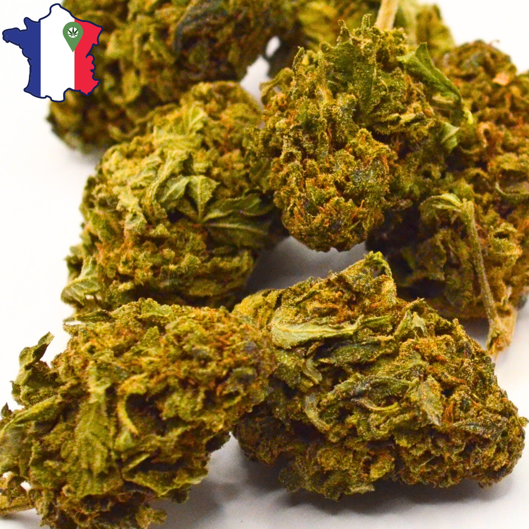 Fleurs de CBD | Mandarine KUSH Sous-Serre | HerboCBD France