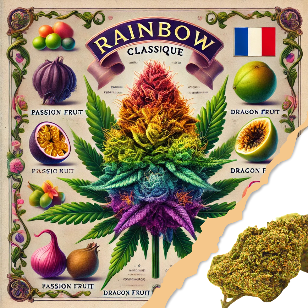 Fleur CBD <br> RAINBOW Classique BIO