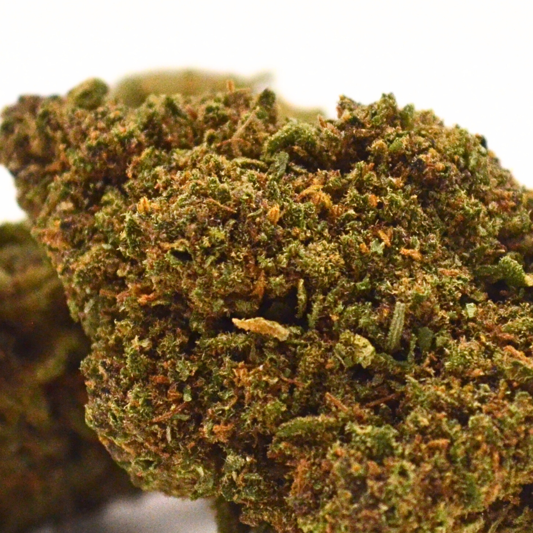 Fleur CBD <br> RAINBOW Classique BIO