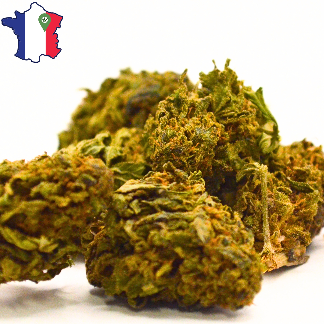 Fleurs de CBD | Mandarine KUSH Sous-Serre | HerboCBD France