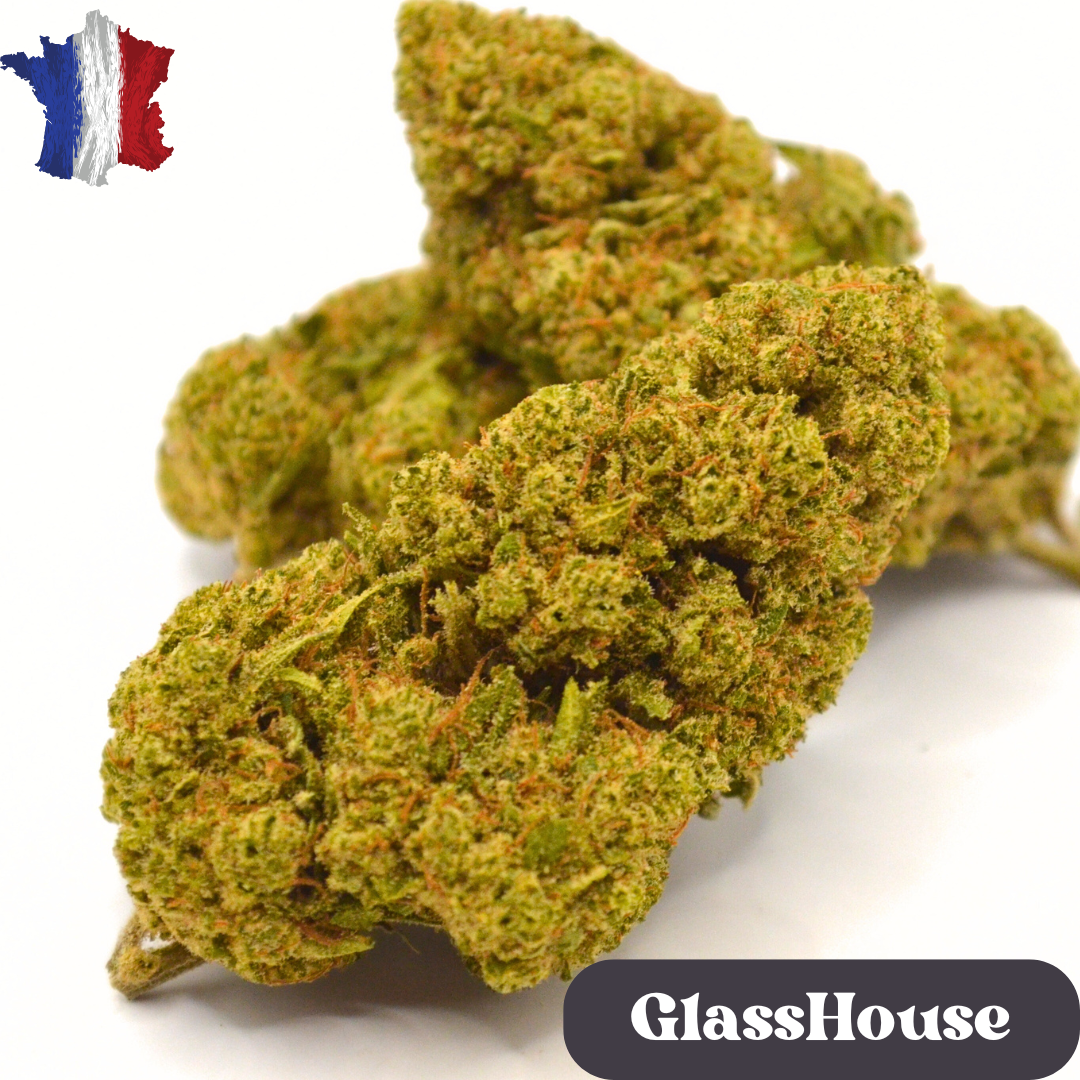 Fleur CBD <br> White Cali Française