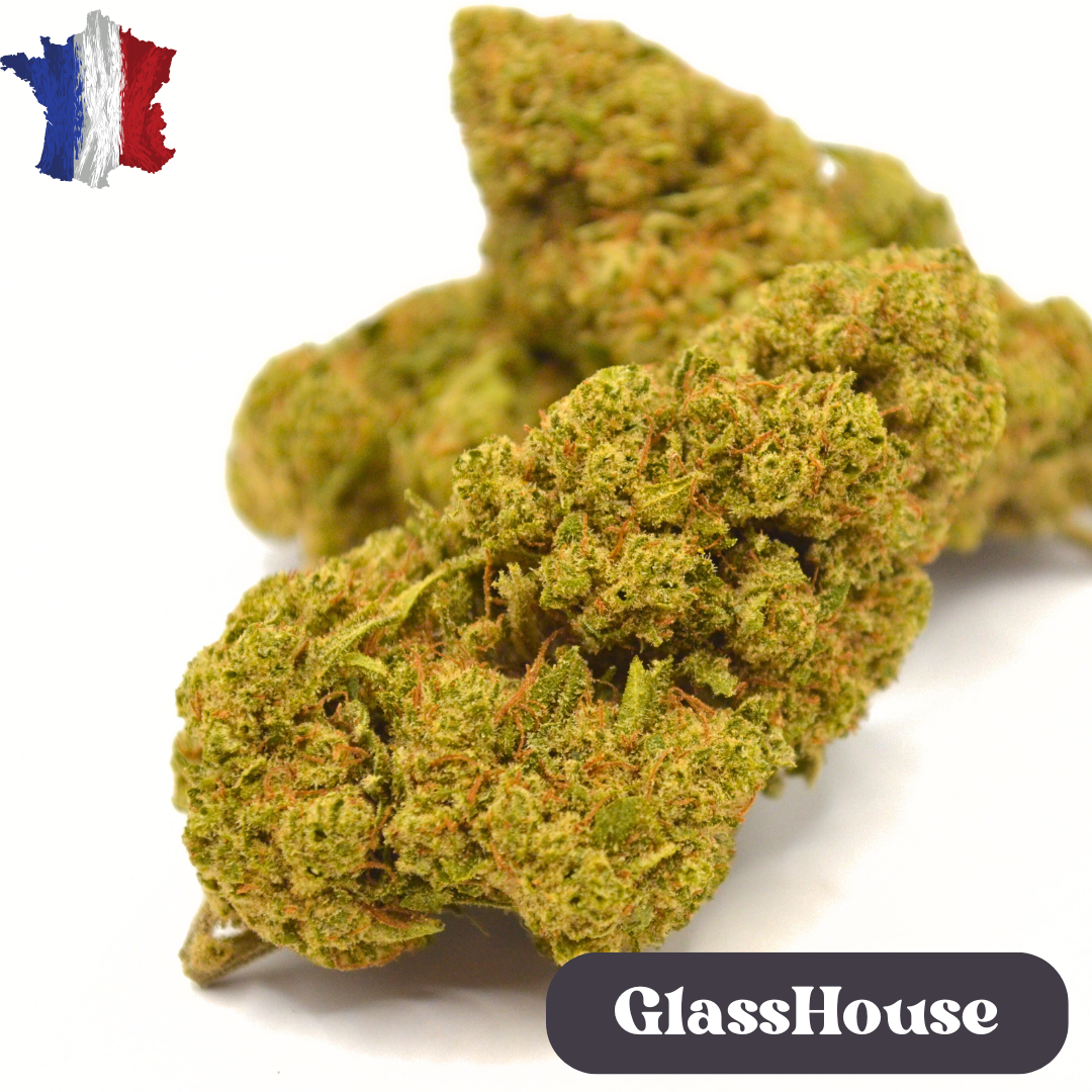 Fleur CBD <br> White Cali Française