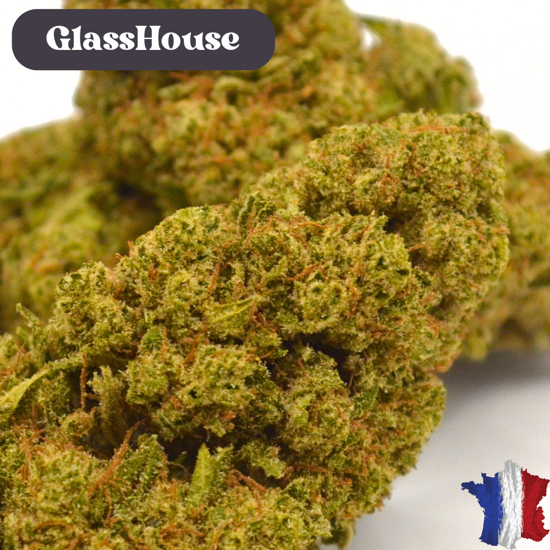 Fleur CBD <br> White Cali Française