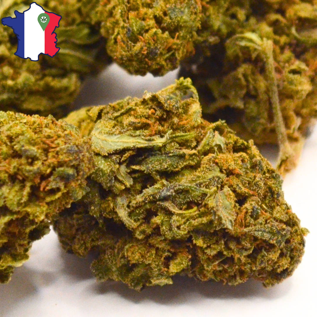 Fleurs de CBD | Mandarine KUSH Sous-Serre | HerboCBD France