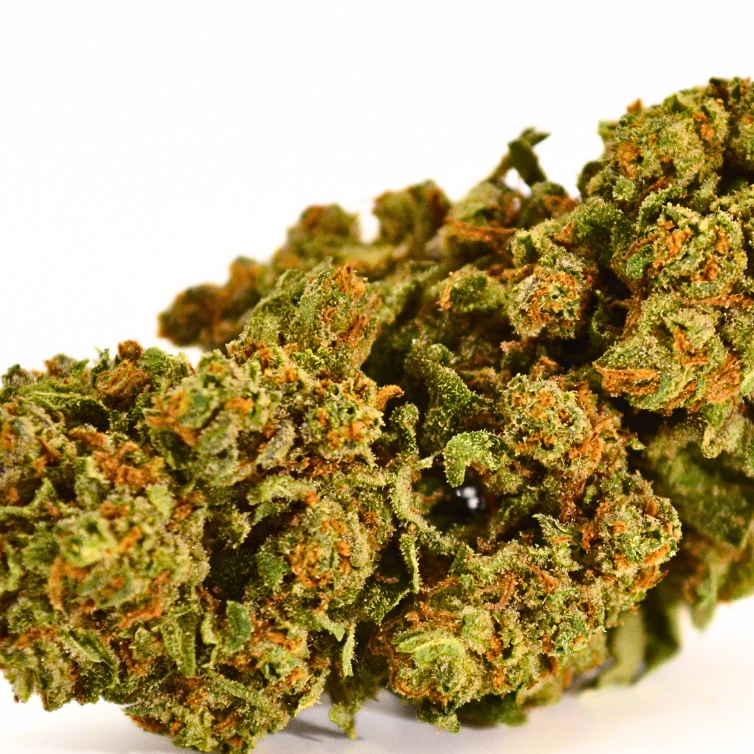 Mimosa | Fleur CBD GlassHouse Bio Française 🍊