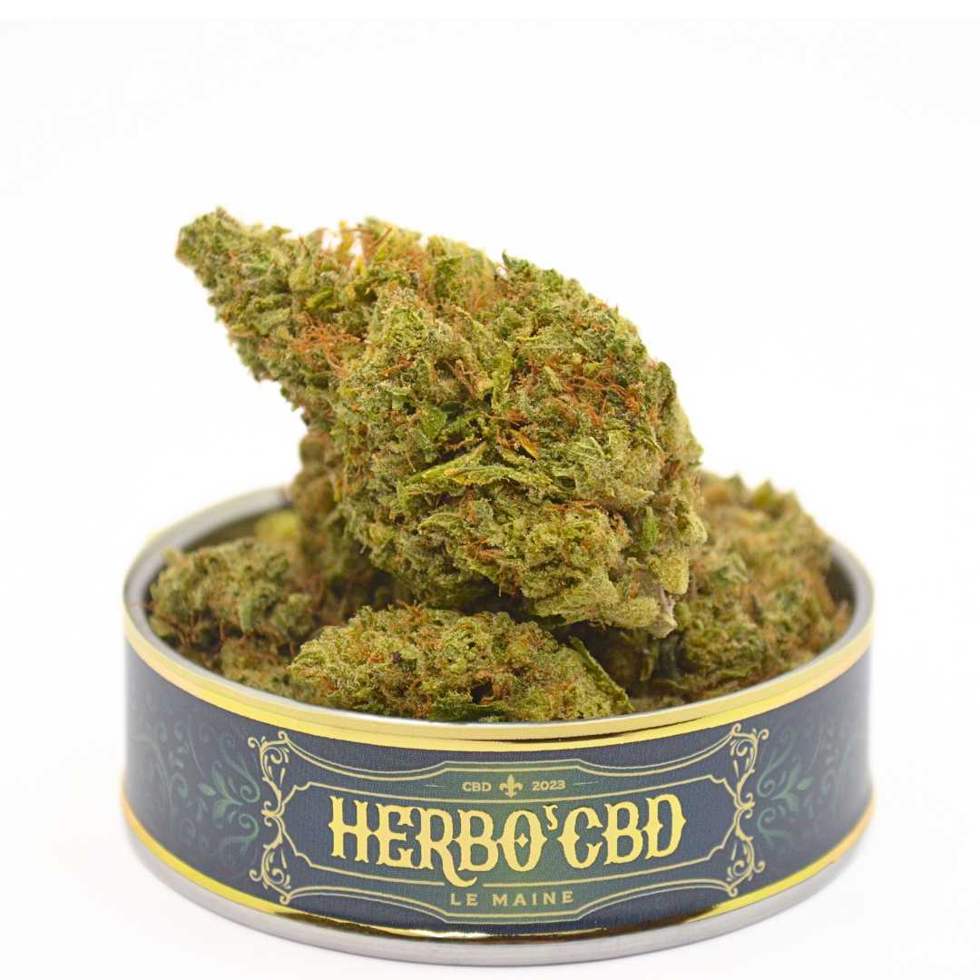 Fleur CBD | Intérieur | G13 Hydro