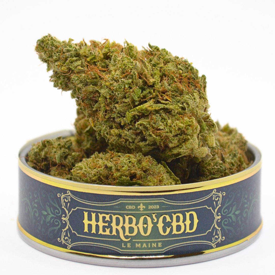 Fleur CBD | Intérieur | G13 Hydro