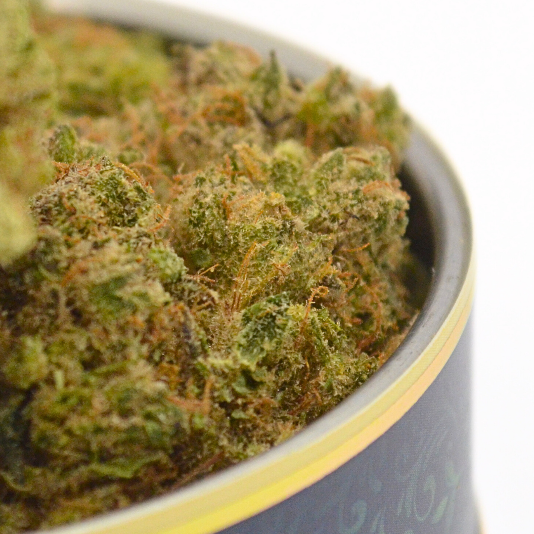 Fleur CBD | Intérieur | G13 Hydro