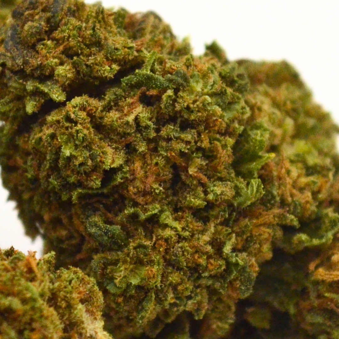 Fleur CBDÂ <br> La Mango Bongo BIO
