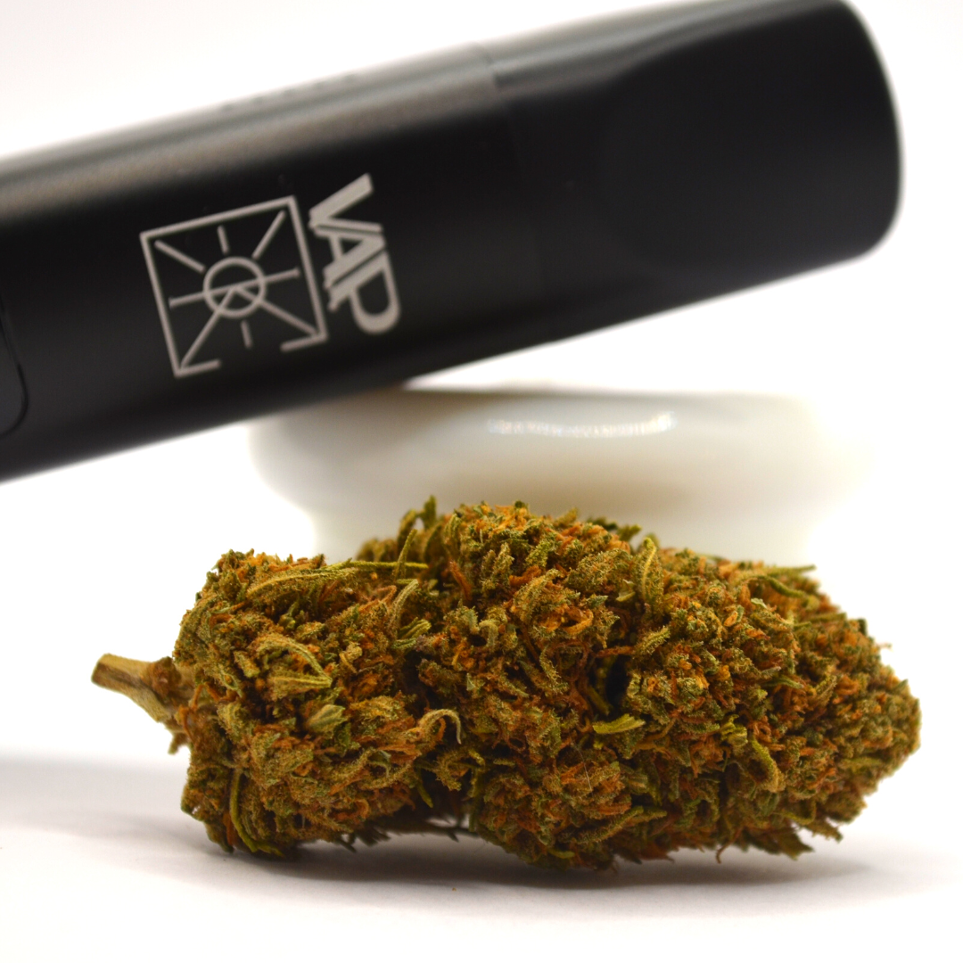 Vaporisateur CBD V.A.P. (XMax V3 Pro) Embouts en Verre - Herbo'CBD 🍀