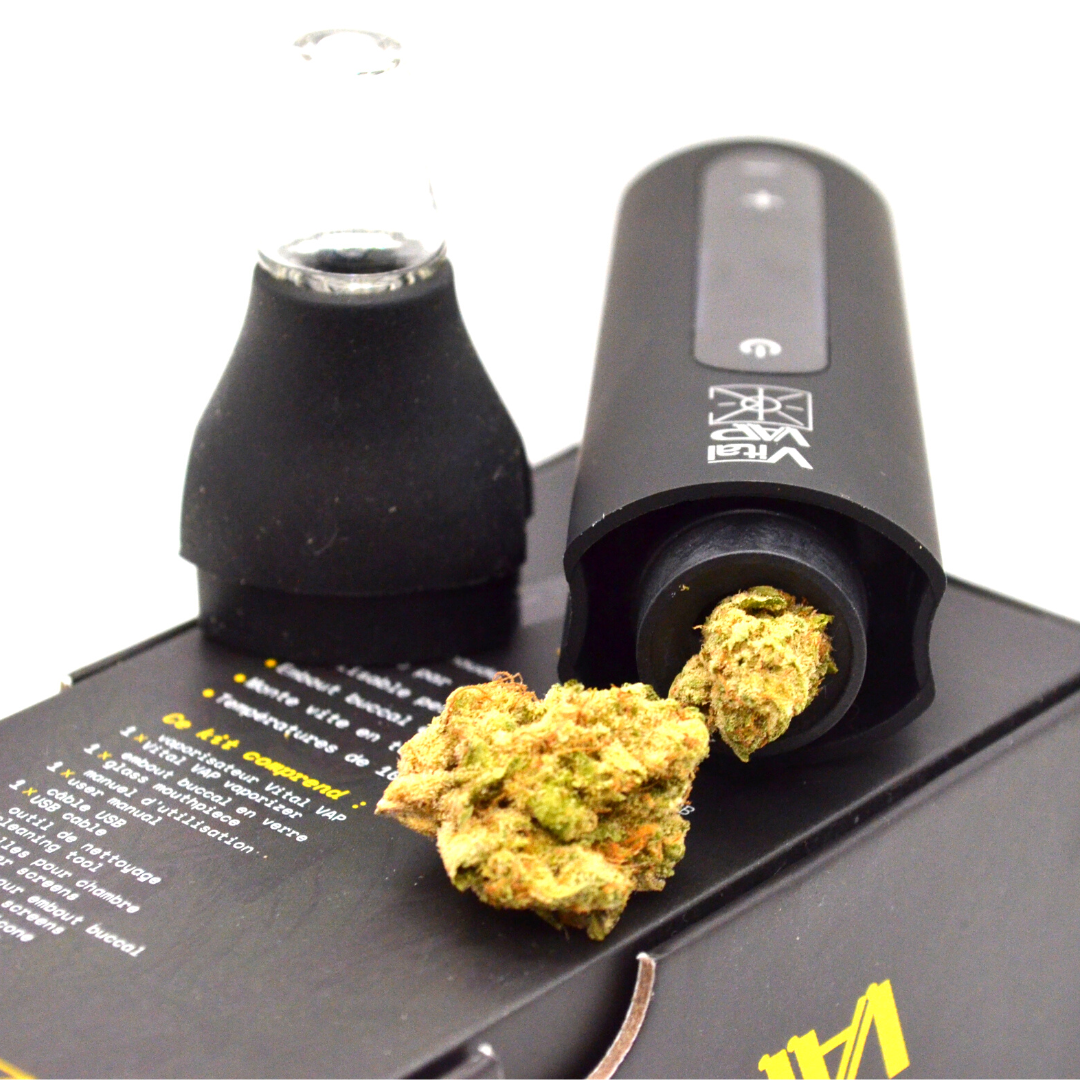 Vaporisateur Débutant CBD Vital V.A.P. Katalyzer Embouts en Verre - Herbo'CBD 🍀