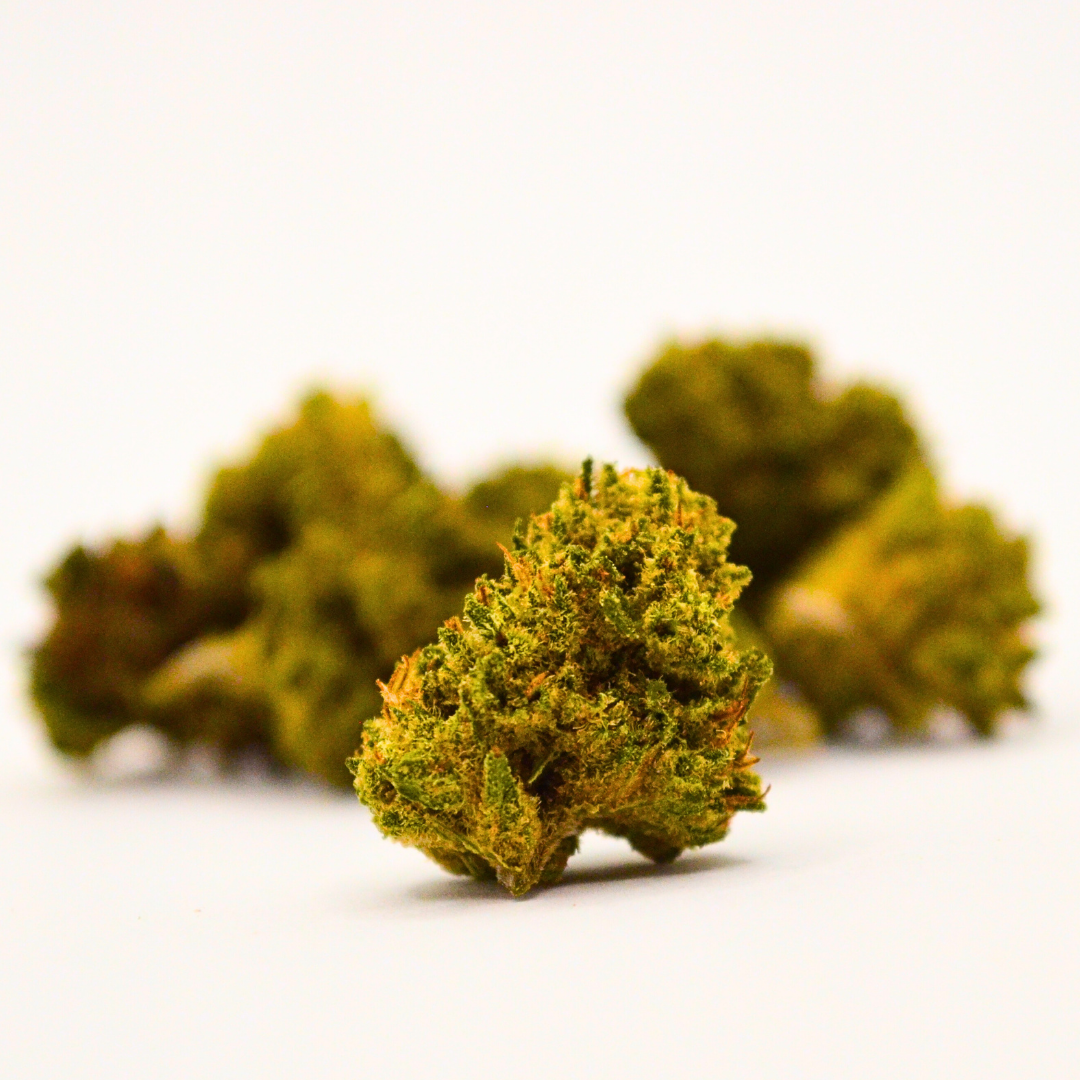 Fleur CBD Small Bud <br> Skittelz Dispense Herbe