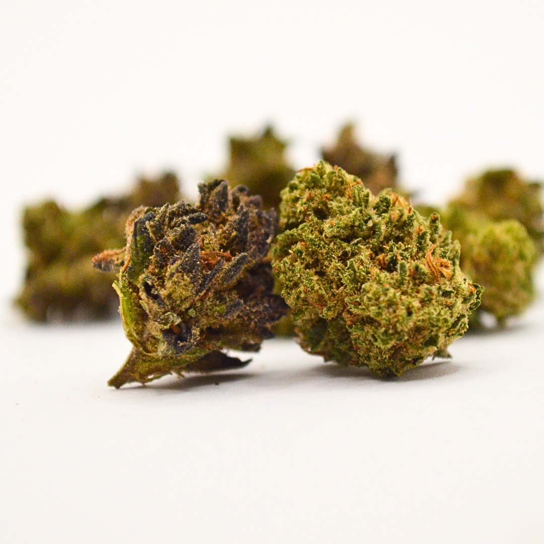 Fleur CBD Small Bud <br> White Widow Dispense Herbe