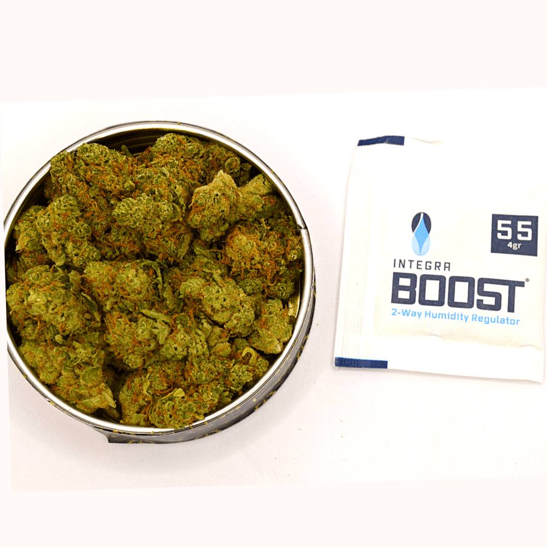 Fleur CBD Amnesia Haze Hydro Sélection Herbo'CBD 🍀