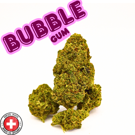 Bubble Gum | Fleur CBD Indoor Suisse Gourmande 🍬