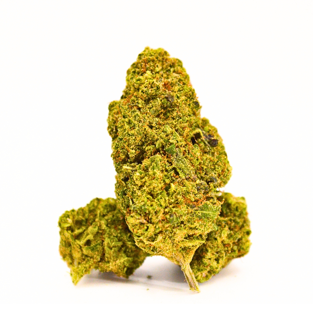 Pack Nouveauté Indoor 🔥