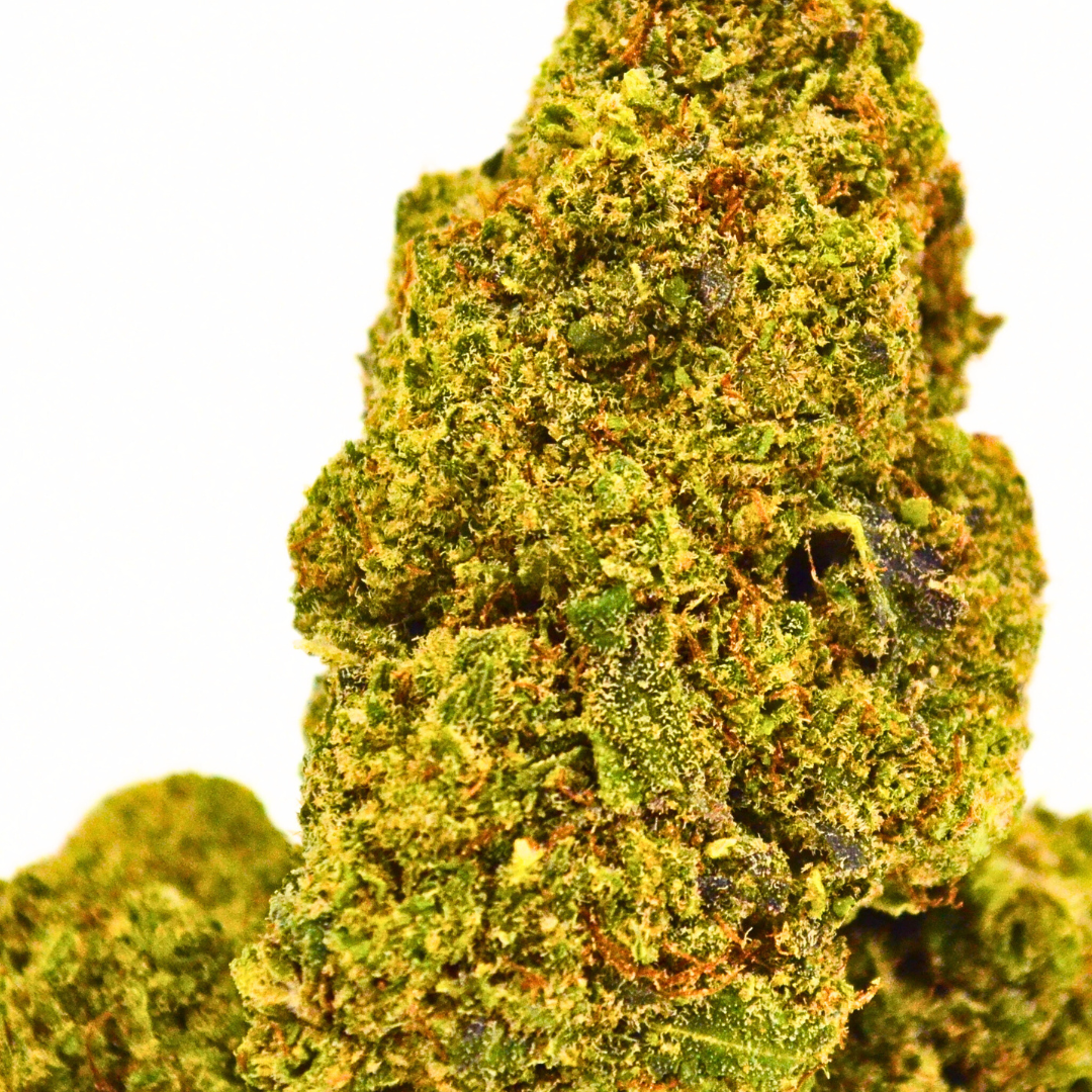 Bubble Gum | Fleur CBD Indoor Suisse Gourmande 🍬