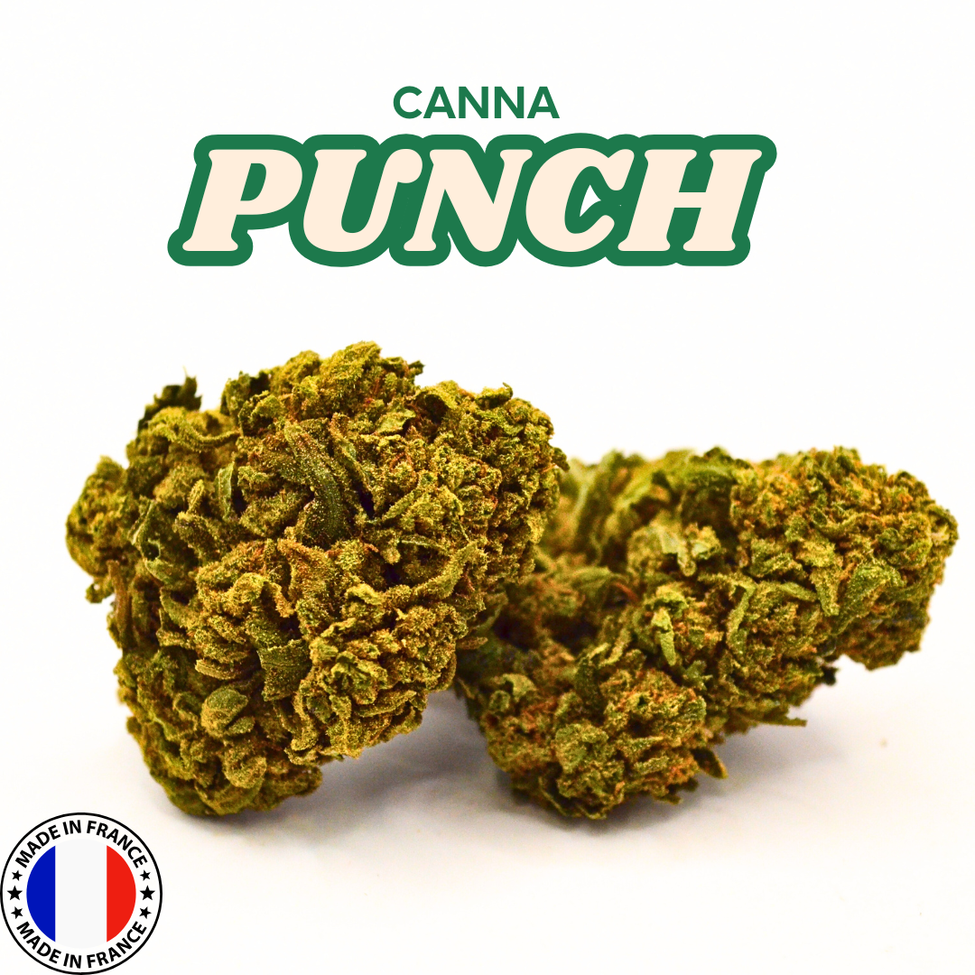 Cannapunch | Fleur CBD Greenhouse Française 🥊
