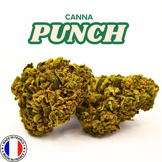 Cannapunch | Fleur CBD Greenhouse Française 🥊