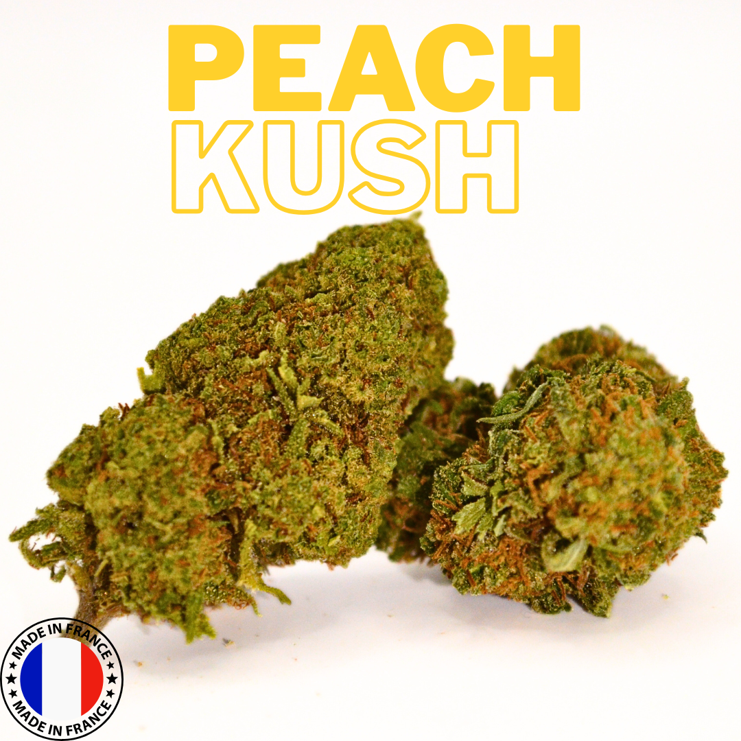 Peach Kush | Fleur CBD Greenhouse Française 🍑