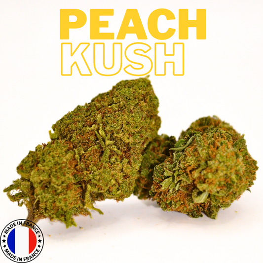 Peach Kush | Fleur CBD Greenhouse Française 🍑