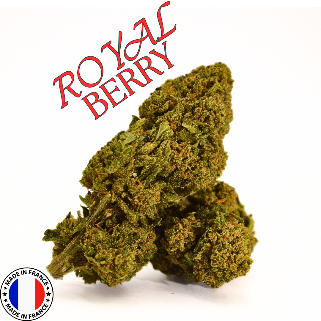 Royal Berry | Fleur CBD GlassHouse Bio Française 🍇