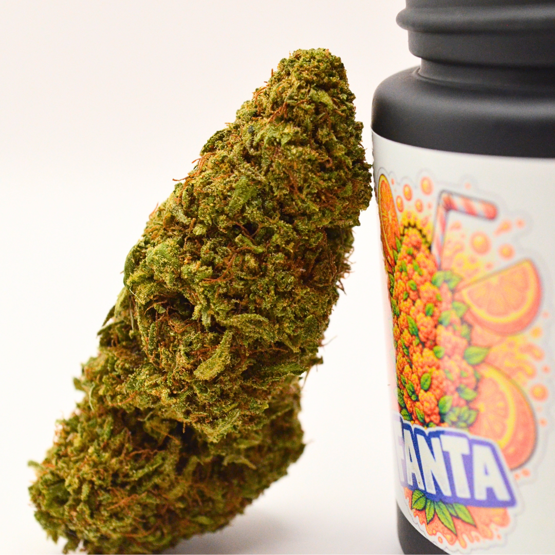 🍊 FANTA | 🇺🇸 Fleur CBD Indoor US — PROMO : Jusqu'à 75% de quantité OFFERTE