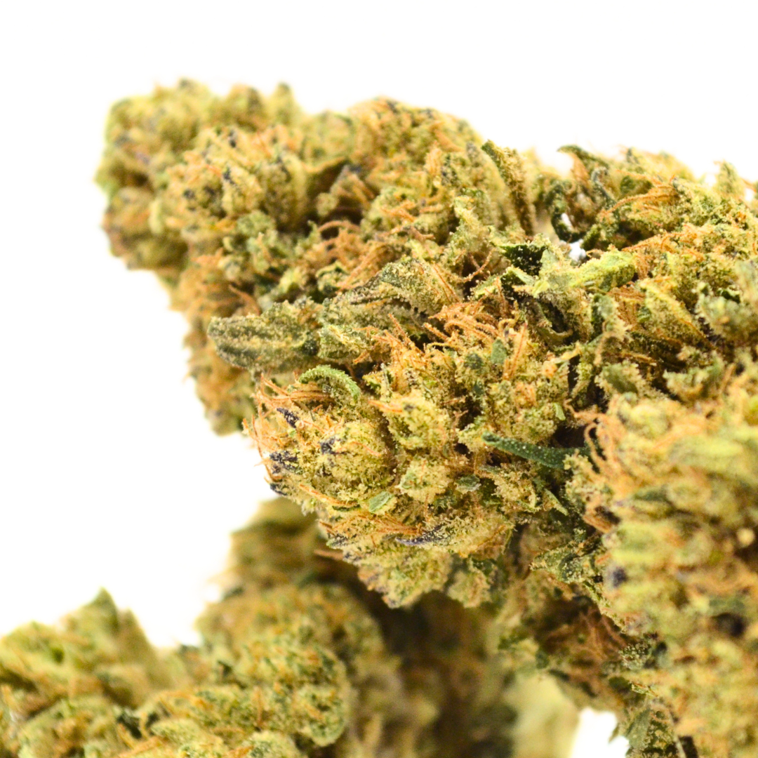 DARK SAPHIR 💎 | Fleurs Françaises Premium