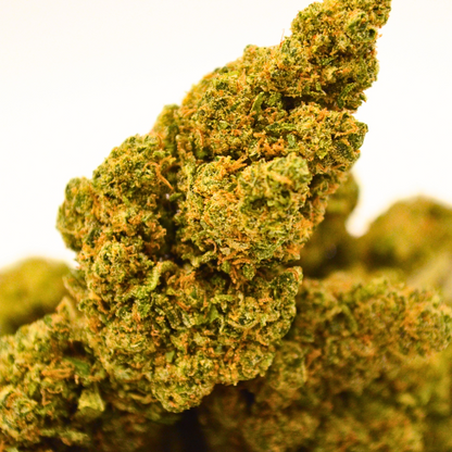 Fleurs de CBD Green Poison  | Indoor Hydroponie | Herbo'CBD (Copie)