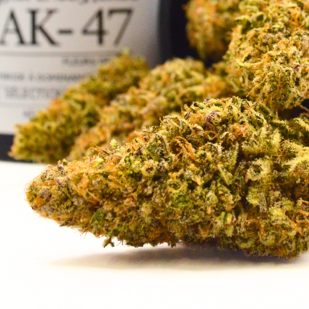 Pack CBD Pharma + Premium