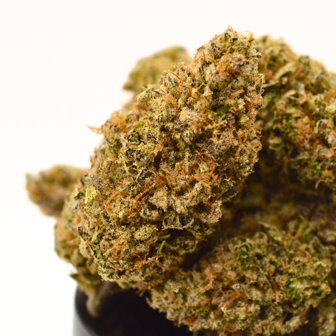 Pack CBD Pharma + Premium