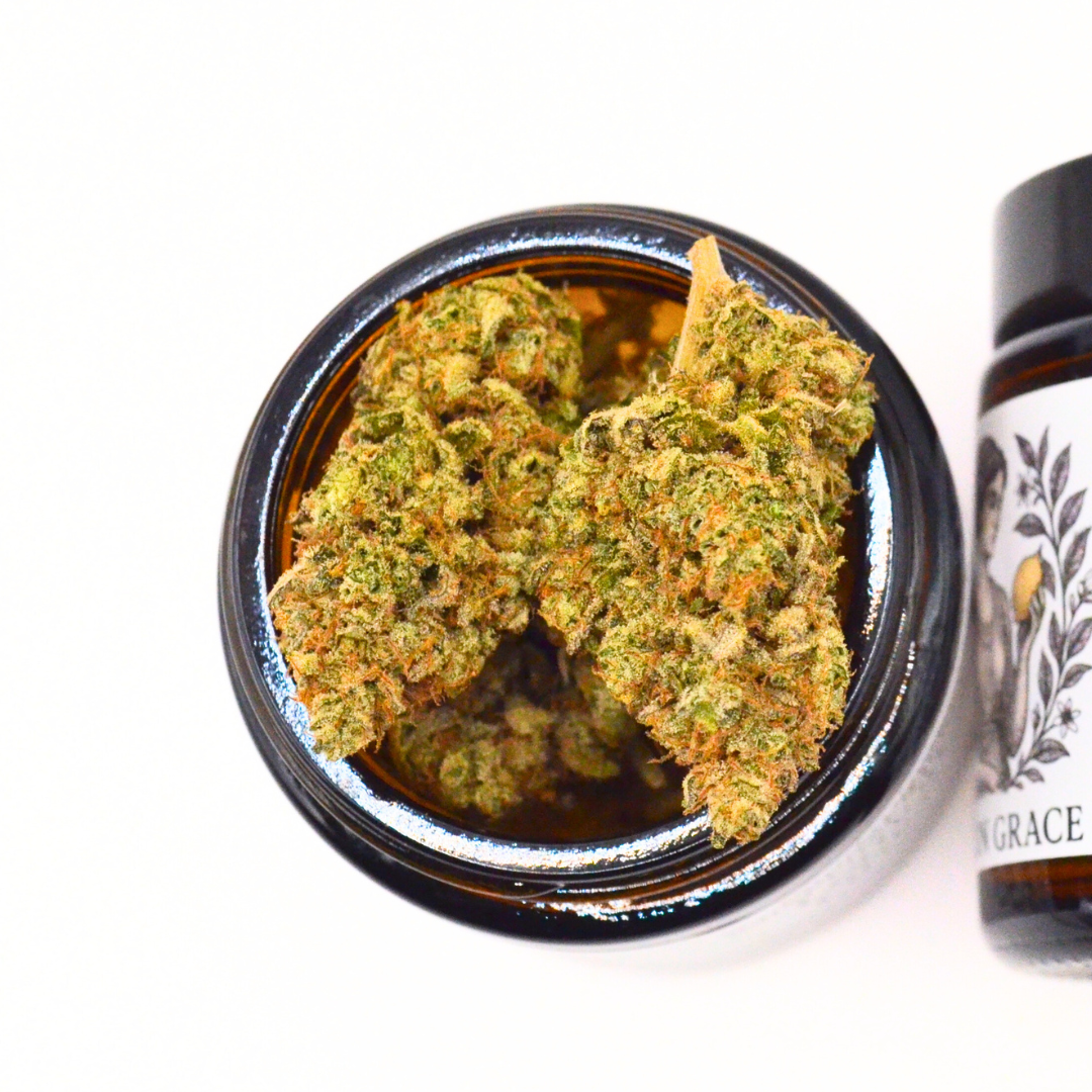 Pack CBD Pharma + Premium