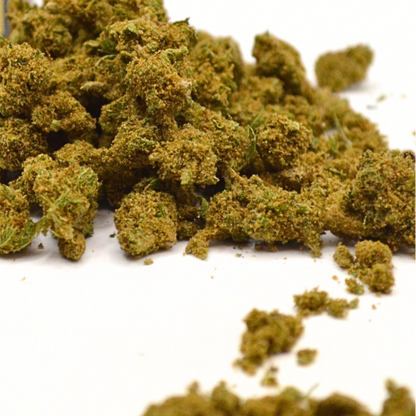 POPO KUSH CBD/CBN  |  Fleurs Indoor + Pollen | Herbo'CBD.FR