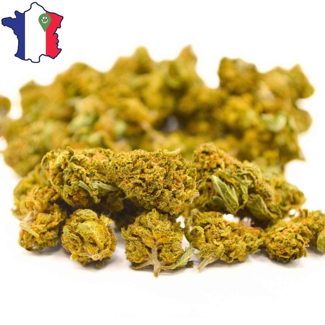 Small Buds CBD | PREMIUM | MK2 Française