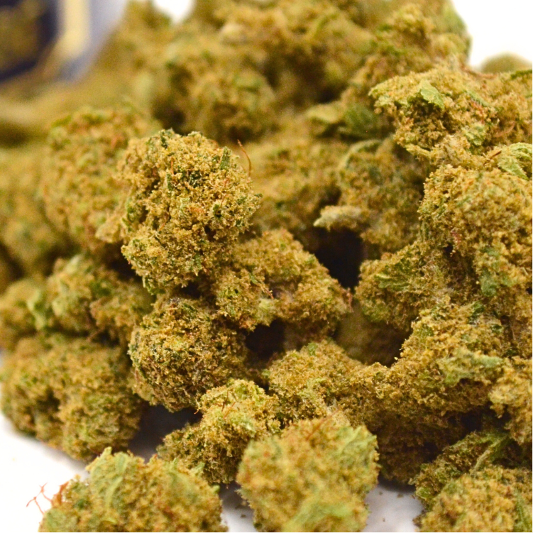 Pack CBD Pharma + Premium