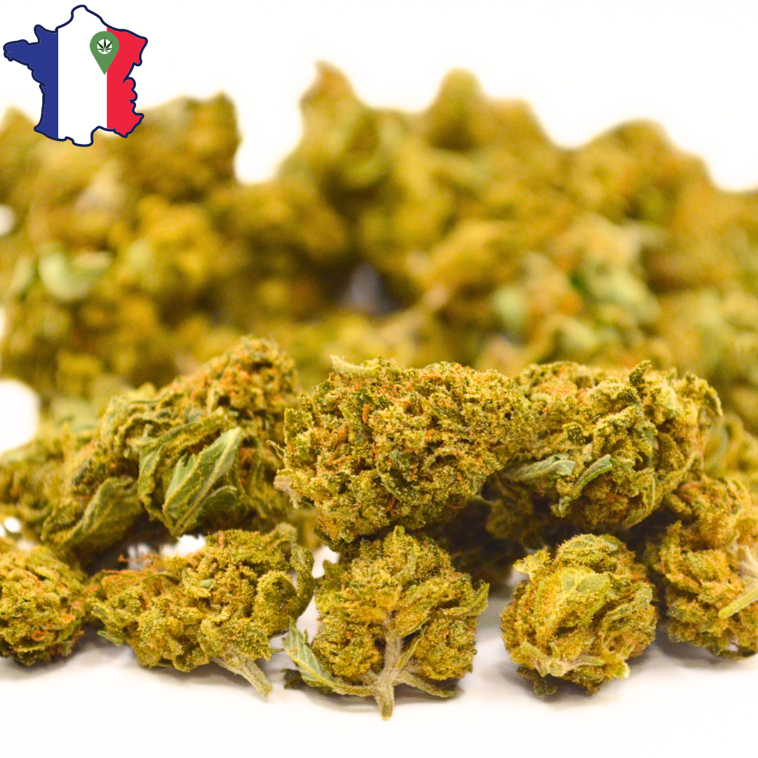 Small Buds CBD | PREMIUM | MK2 Française