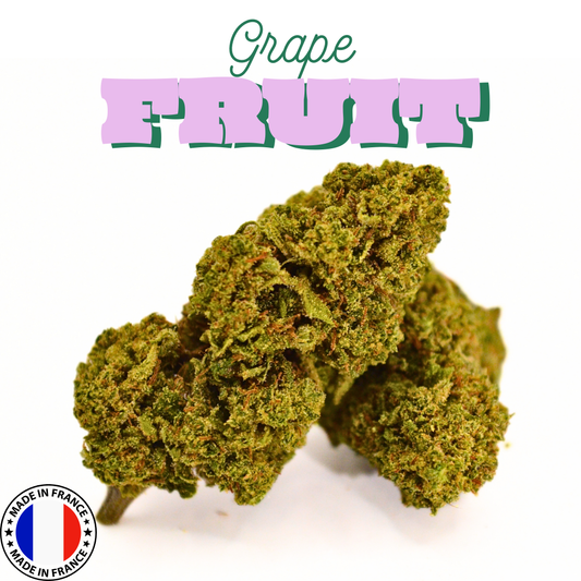Grapefruit | Fleur CBD Greenhouse Française 🍇