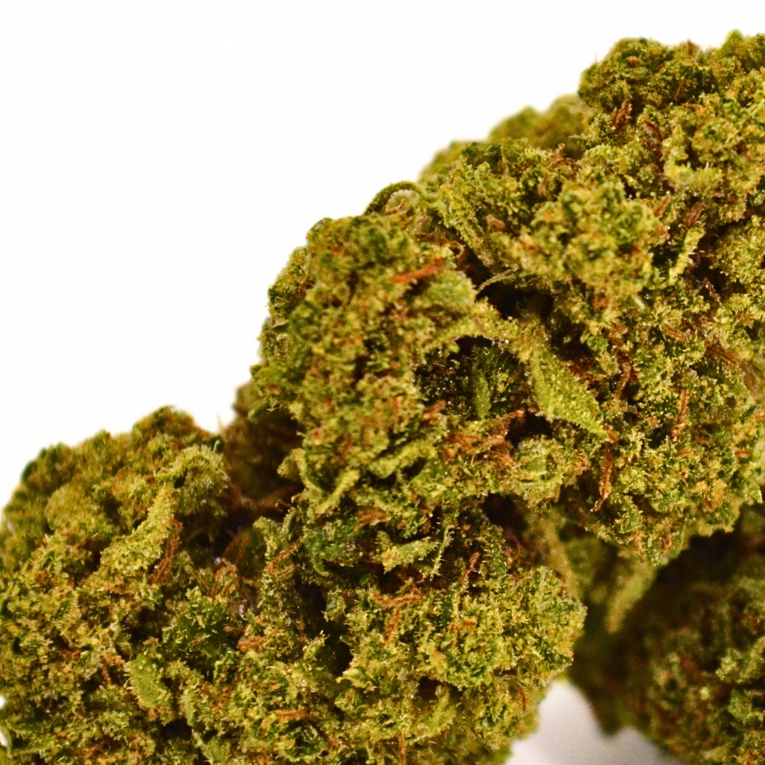 Grapefruit | Fleur CBD Greenhouse Française 🍇