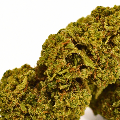 Grapefruit | Fleur CBD Greenhouse Française 🍇