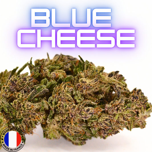 Blue Cheese | Fleur CBD GlassHouse Bio Française 🧀