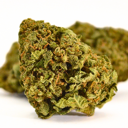 Tropical Haze | Fleur CBD Indoor Suisse Exotique 🌴