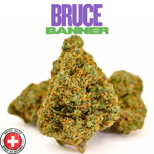 Bruce Banner | Fleur CBD Indoor Suisse Puissante 💚