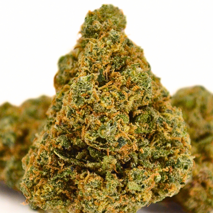 Bruce Banner | Fleur CBD Indoor Suisse Puissante 💚