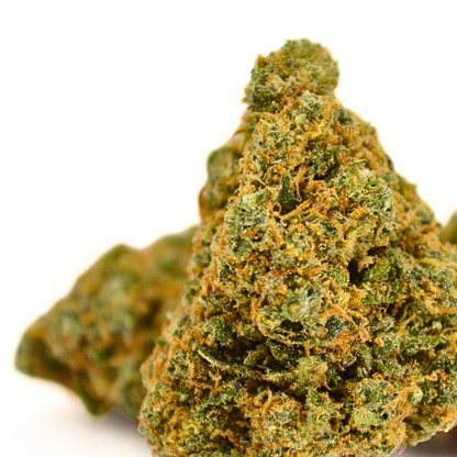 Bruce Banner | Fleur CBD Indoor Suisse Puissante 💚