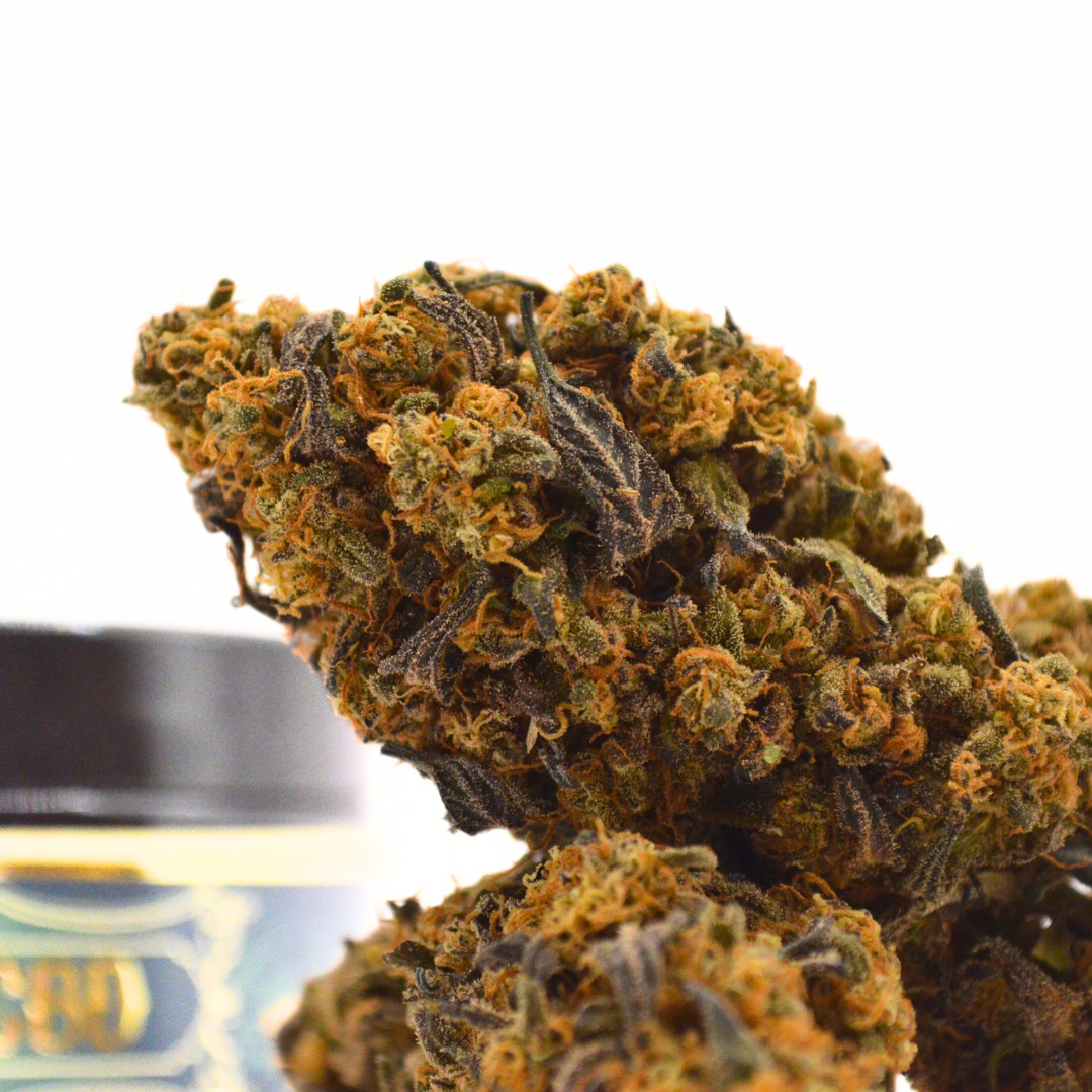 Fleur CBD | Blueberry Muffin | Indoor