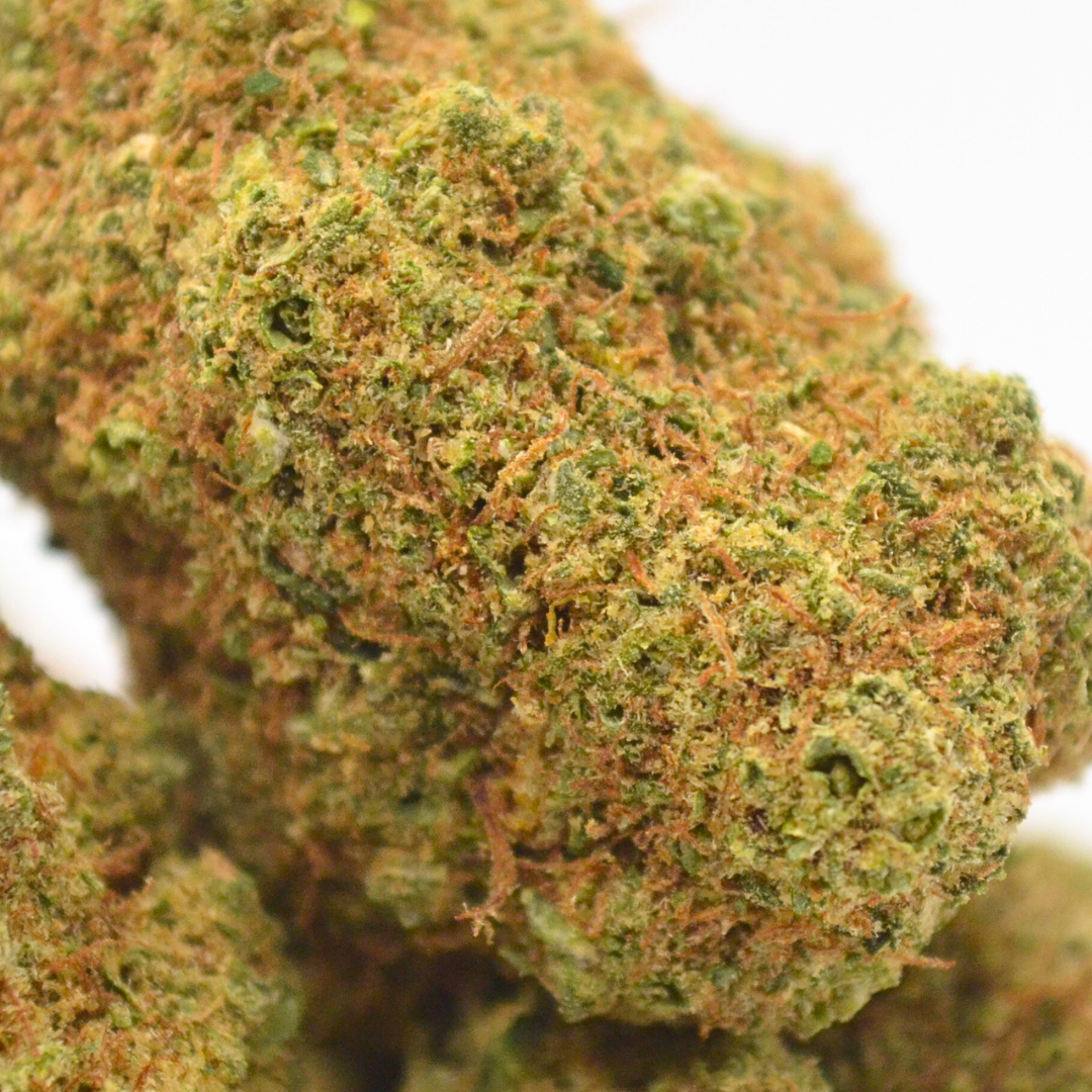 Fleur CBD <br> CALI AMNESIA 2.0  <br> Sélection DispenseHerbe - DispenseHerbe 🍀