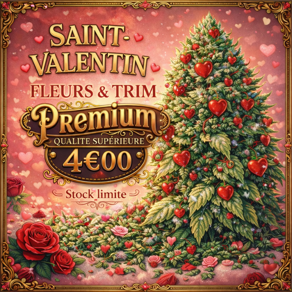 🌹 PROMOS SAINT-VALENTIN ❤️ FLEURS ET TRIM PREMIUM à partir de 4,00€/g